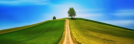 Energie update Rode Hemelwandelaar levenspad 27 maart - 8 april 2023: Nieuwe wegen bewandelen